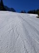 20250304-bumbach-047.jpg