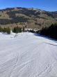 20250304-bumbach-048.jpg