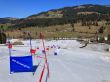 20250304-bumbach-059.jpg