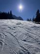 20250304-bumbach-077.jpg