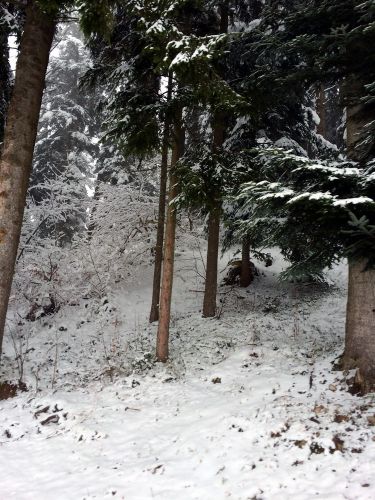 Chuderhüsi, 20. Januar 2015
