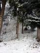20150120-c-chuderhuesi-5326.jpg