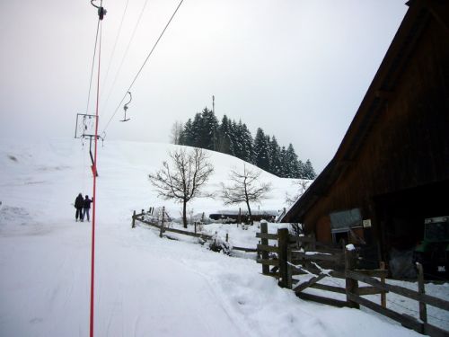 7. Januar 2009
