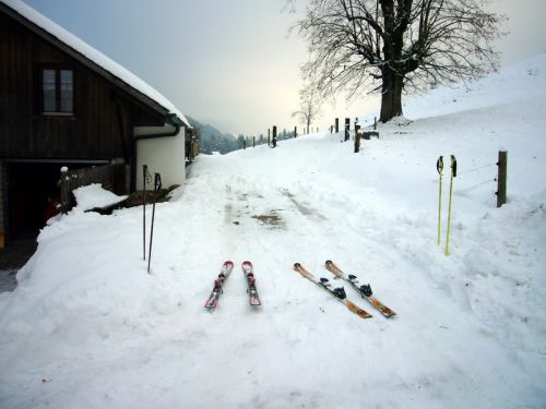 7. Januar 2009
