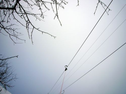 7. Januar 2009
