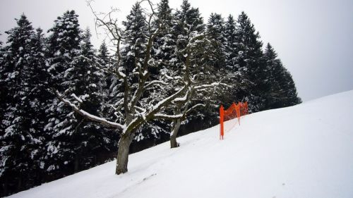 7. Januar 2009
