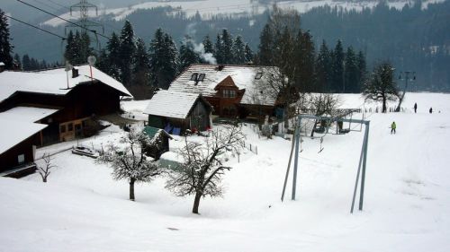 7. Januar 2009
