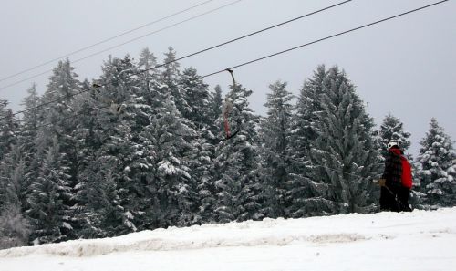 7. Januar 2009
