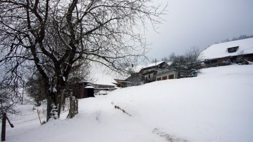 7. Januar 2009
