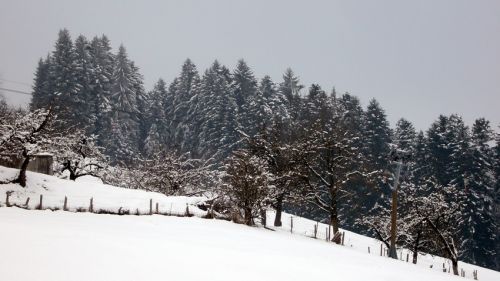 7. Januar 2009
