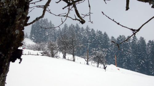 7. Januar 2009
