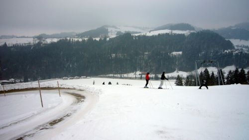 7. Januar 2009
