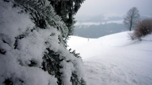 7. Januar 2009
