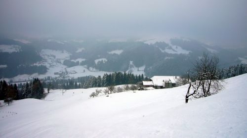 7. Januar 2009
