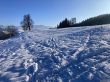 20211221-eggiwil-netschbuehl-6318.jpg