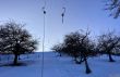20211221-eggiwil-netschbuehl-6347.jpg