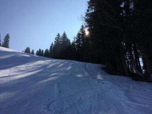 8. März 2014
