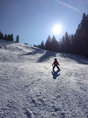 8. März 2014
