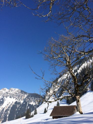 8. März 2014
