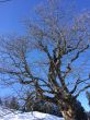 20140308-eriz-9701.jpg