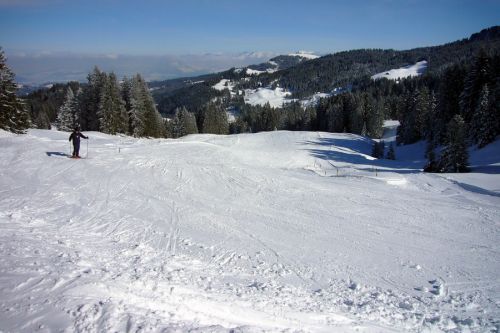 19. Februar 2009
