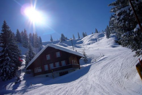 19. Februar 2009
