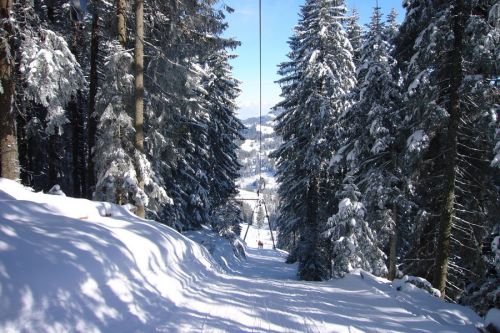 19. Februar 2009
