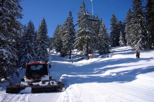 19. Februar 2009
