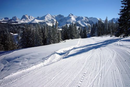 19. Februar 2009

