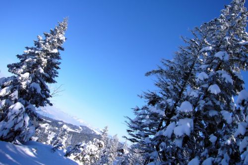 19. Februar 2009
