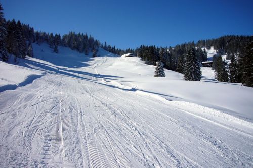 19. Februar 2009
