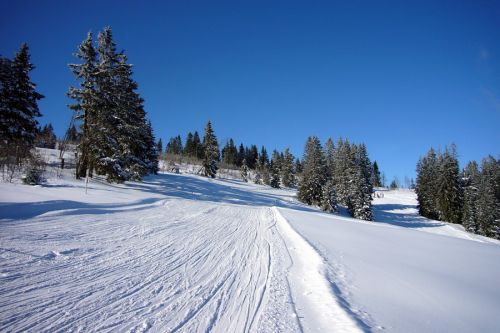 19. Februar 2009
