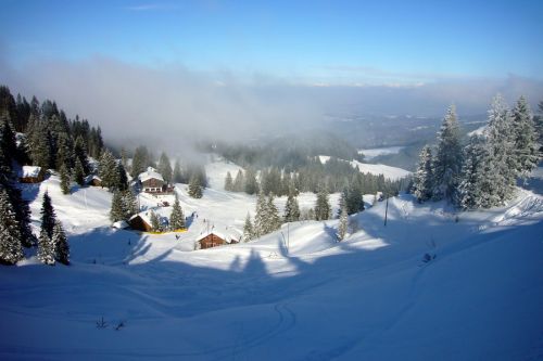 19. Februar 2009
