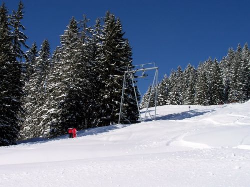 19. Februar 2009
