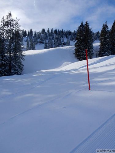 Selital, 8. Februar 2019
