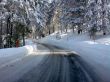 20090219-a-selital-188.jpg
