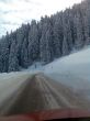 20090219-a-selital-190.jpg