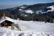 20090219-b-selital-0180.jpg