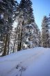 20090219-b-selital-0222.jpg