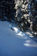 20090219-b-selital-0303.jpg