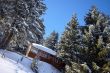 20090219-b-selital-0332.jpg