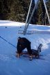 20090219-b-selital-0338.jpg