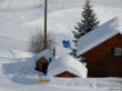 20190208-a-selital-032.jpg