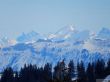 20190208-a-selital-098.jpg