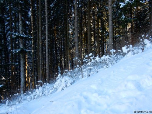 20190206-gibloux-089.jpg