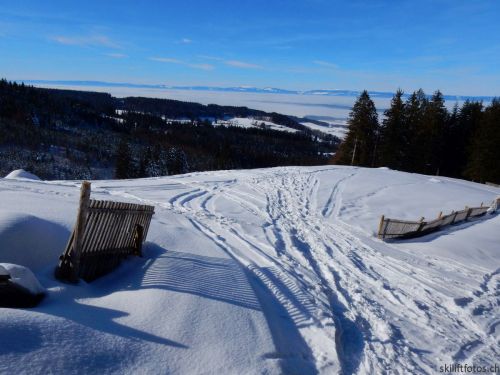 20190206-gibloux-105.jpg