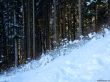 20190206-gibloux-089.jpg