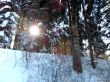 20190206-gibloux-090.jpg