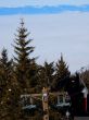 20190206-gibloux-148.jpg