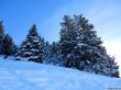 20190206-gibloux-178.jpg